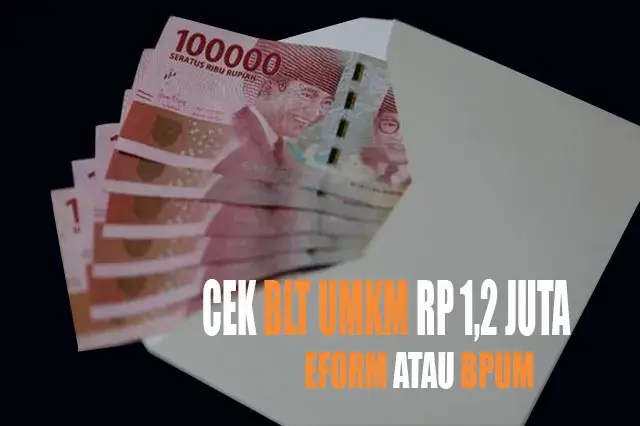 Cek BLT UMKM Rp 1,2 Juta di eform.bri.co.id Atau BPUM