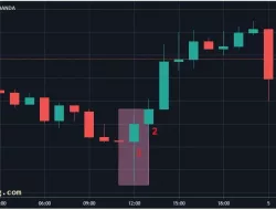 3 Tehnik Trading EUR/USD Paling Simpel