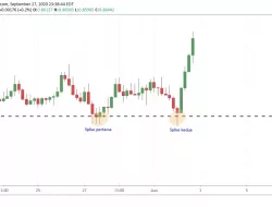 Langkah Trading Ganda Spike untuk Manfaatkan Reversal