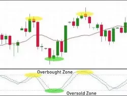 Apa Peranan Overbought Dan Oversold Dalam Trading Forex?