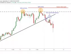 Langkah Trading Ganda Spike untuk Manfaatkan Reversal