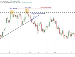 Langkah Trading Ganda Spike untuk Manfaatkan Reversal