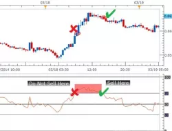 Apa Peranan Overbought Dan Oversold Dalam Trading Forex?