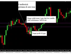 Langkah Trading 1 Jam Dengan Pair USDJPY