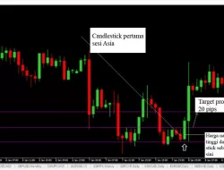 Langkah Trading 1 Jam Dengan Pair USDJPY