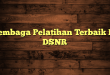 Lembaga Pelatihan Terbaik Di DSNR
